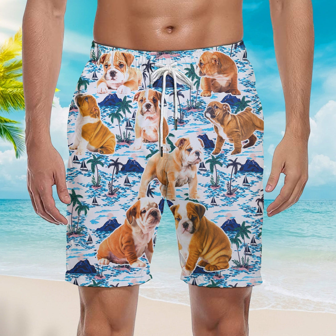Bull Dog Puppy Beach Shorts For Men